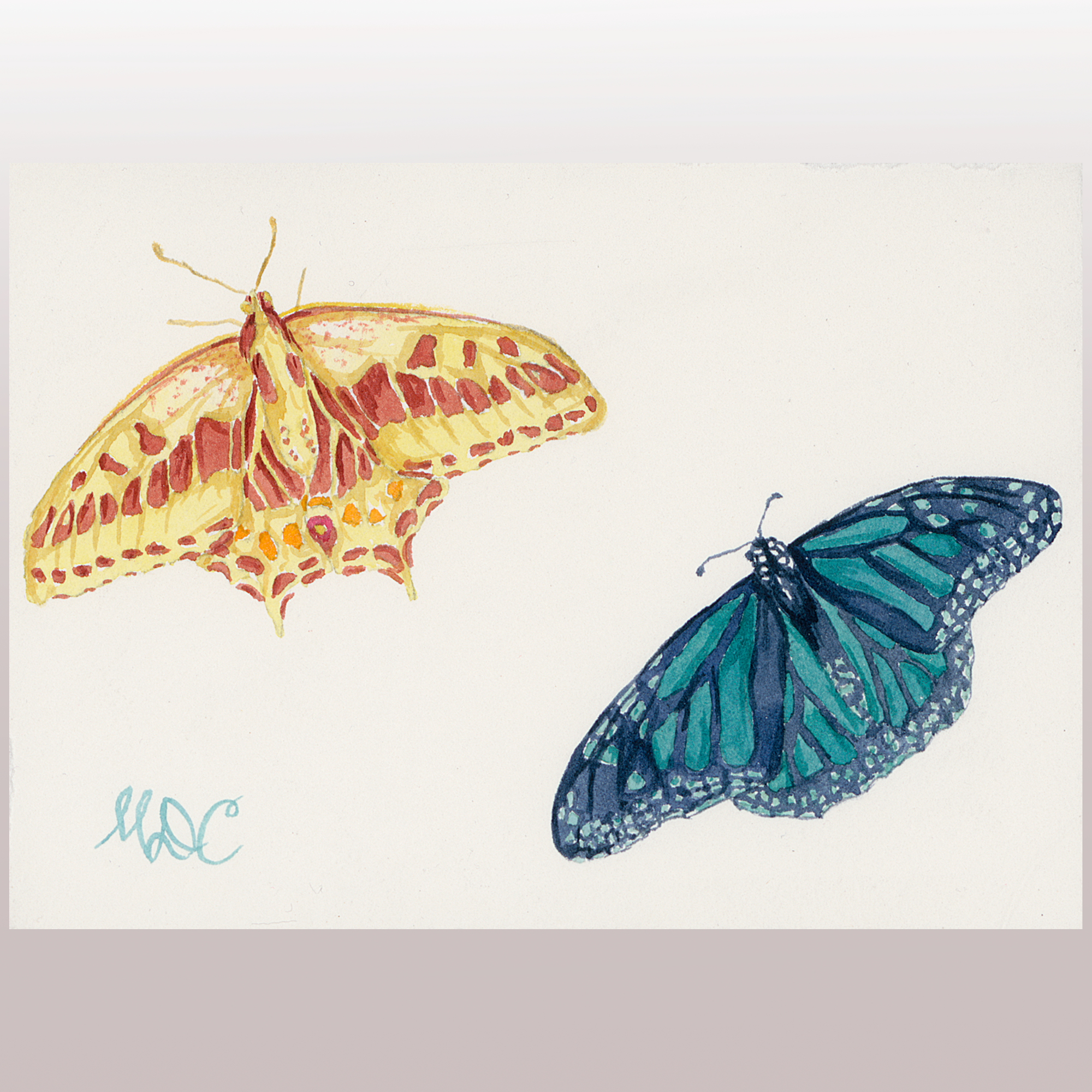 Butterflies #7