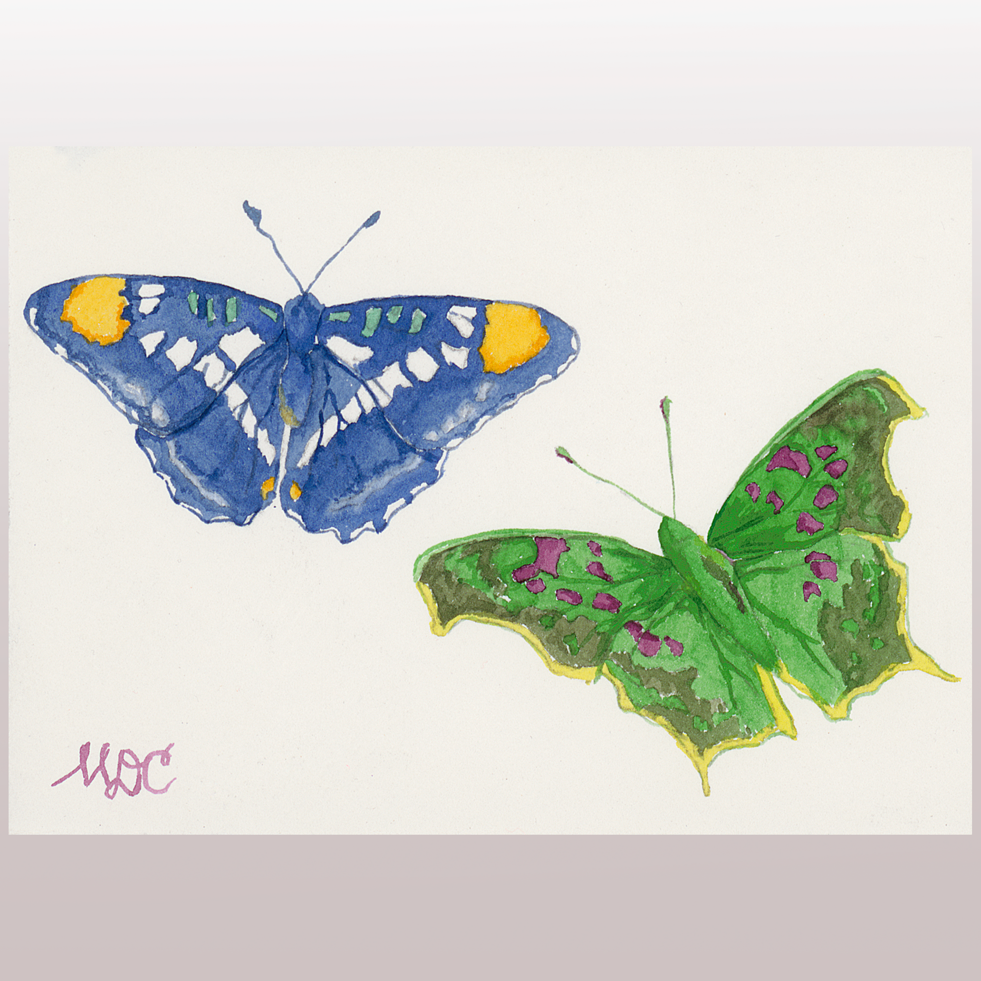Butterflies #11