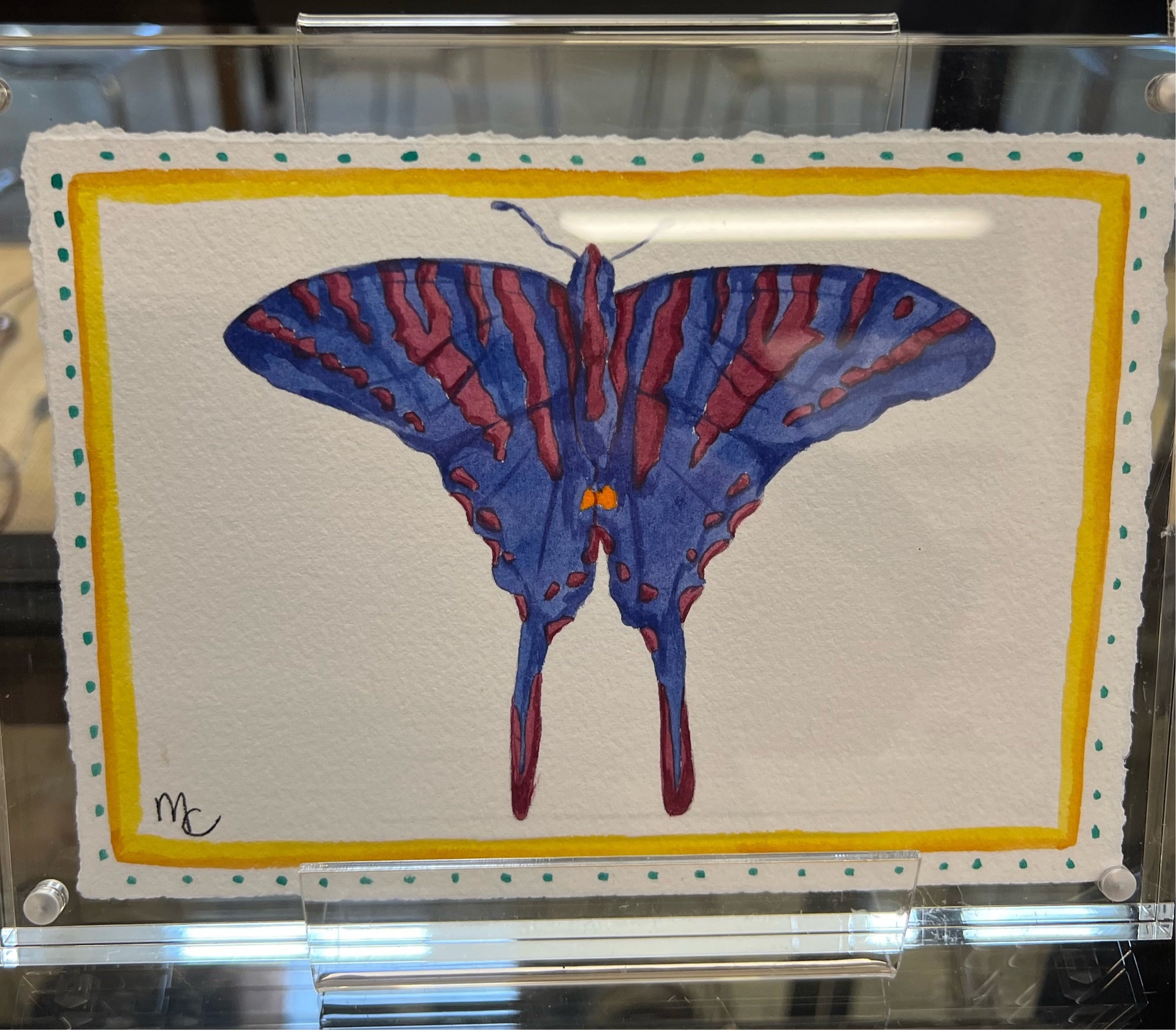 Zebra Swallowtail Butterfly with border in acrylic frame