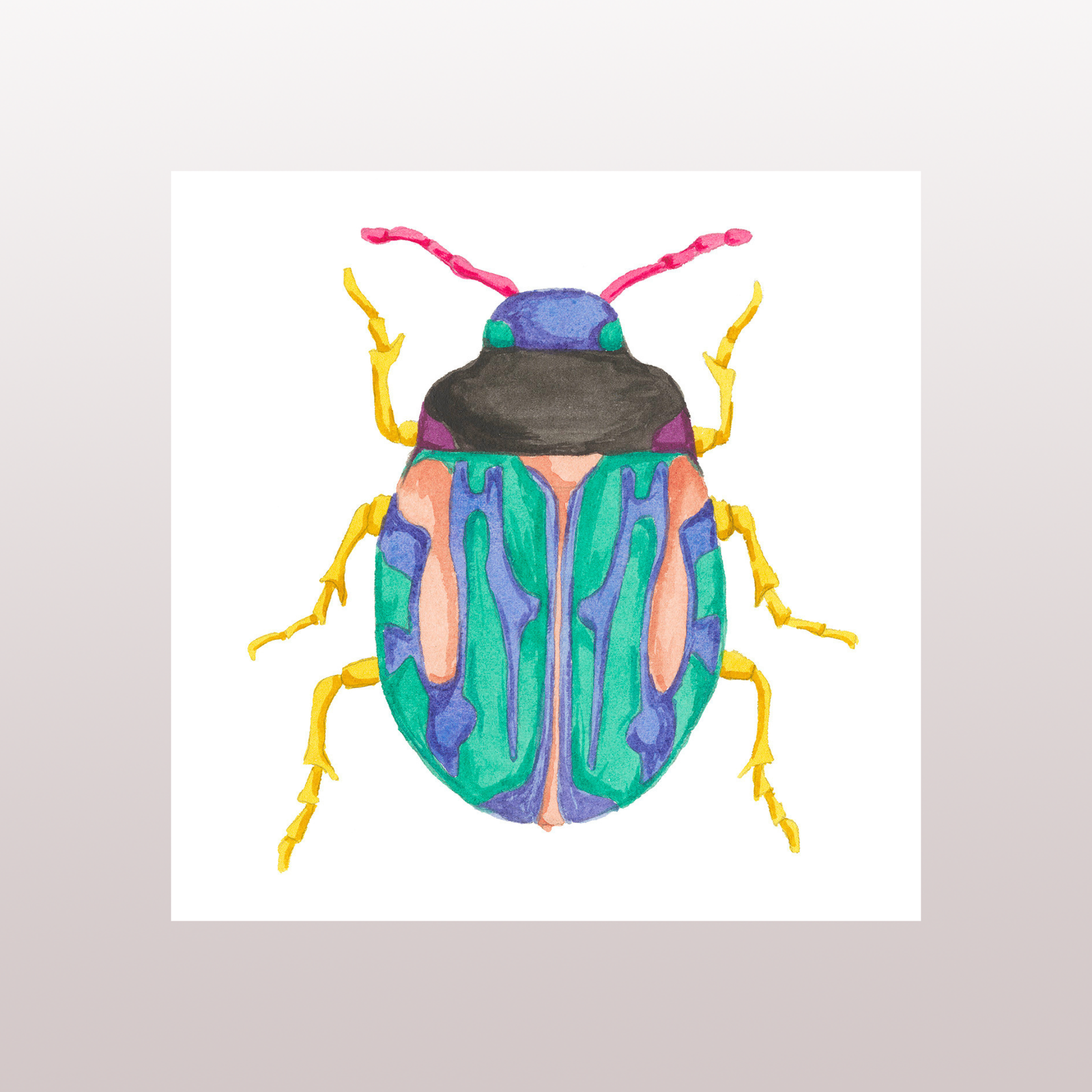 Beetle 1