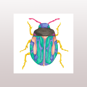 Beetle 1