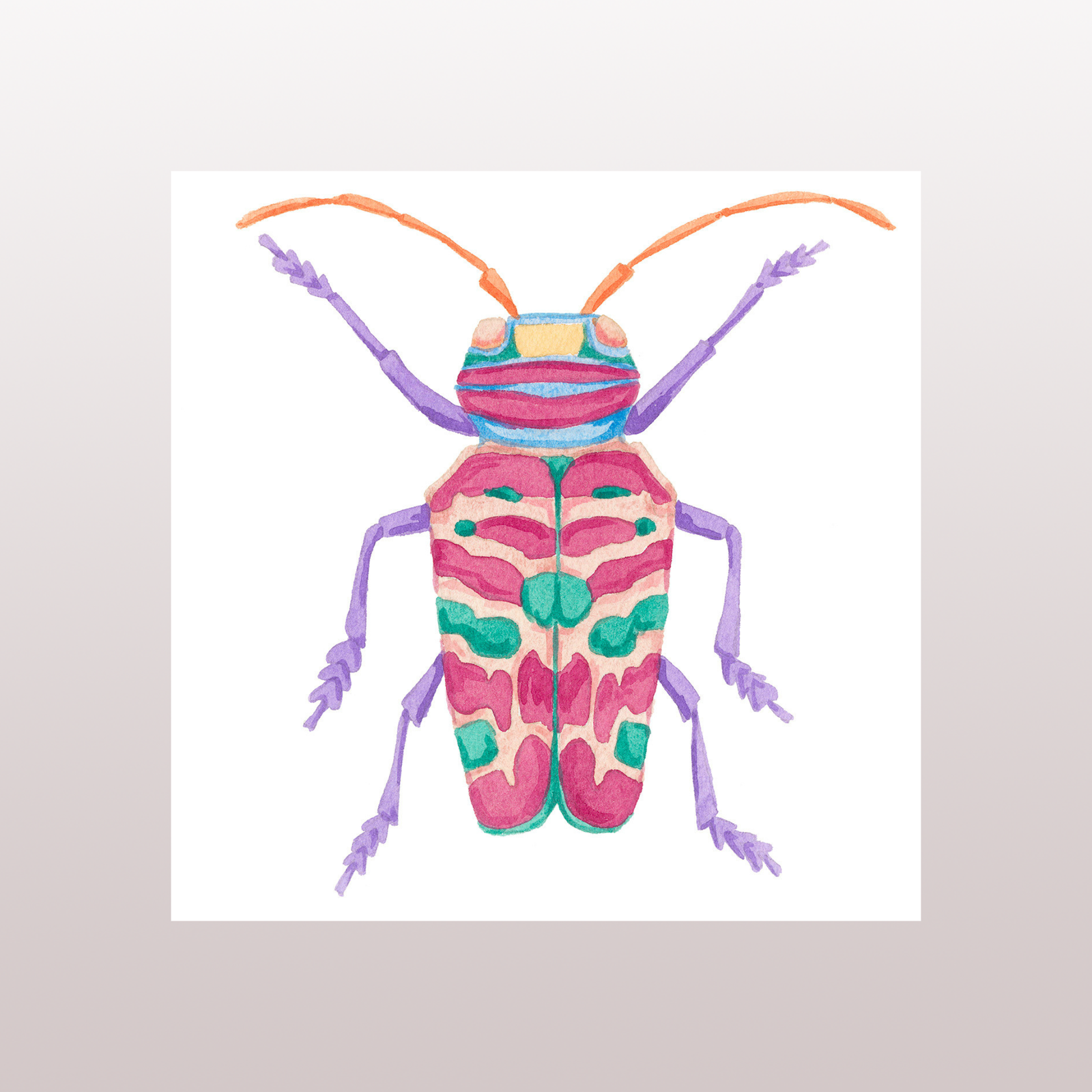 Beetle 11