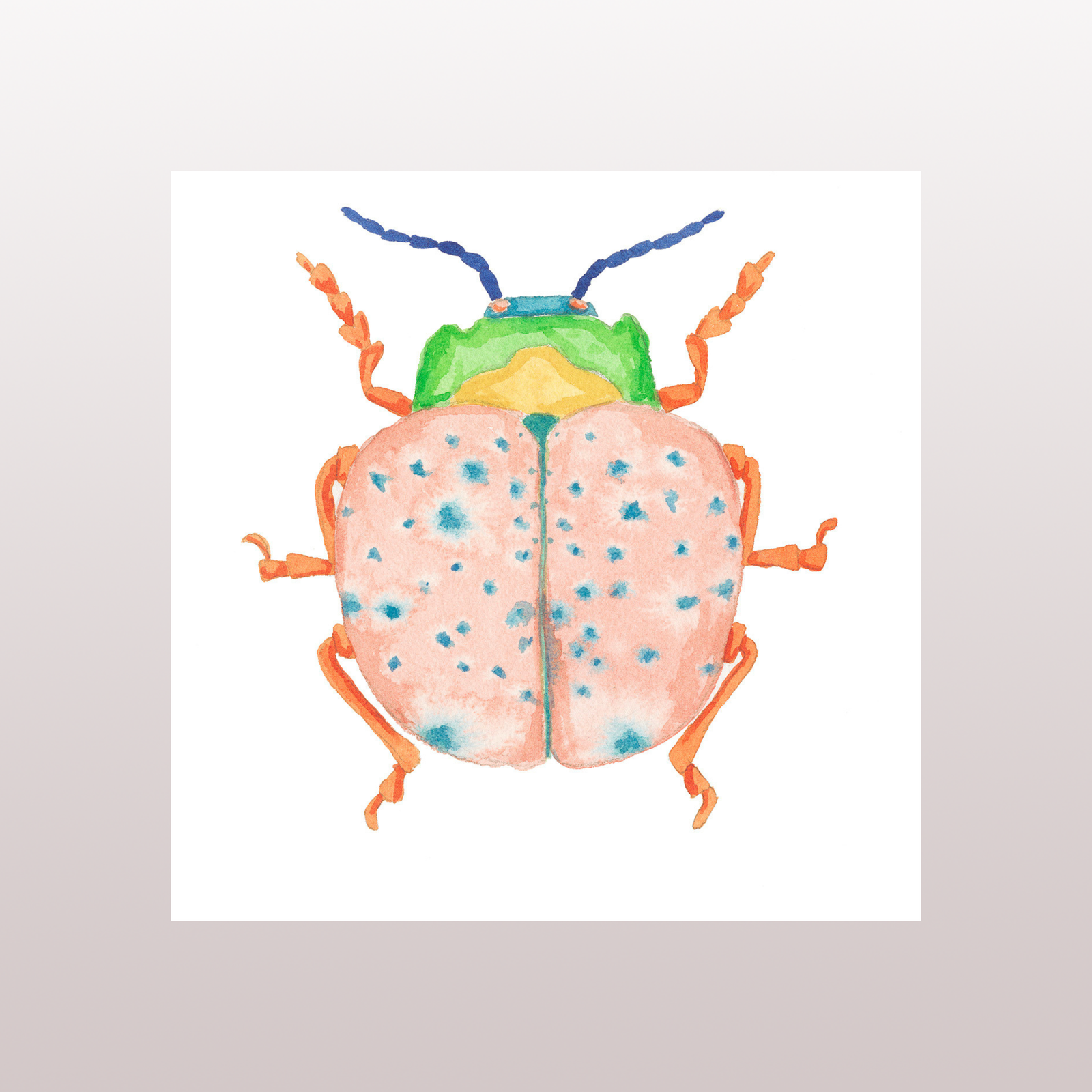 Beetle 2