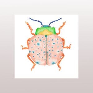 Beetle 2