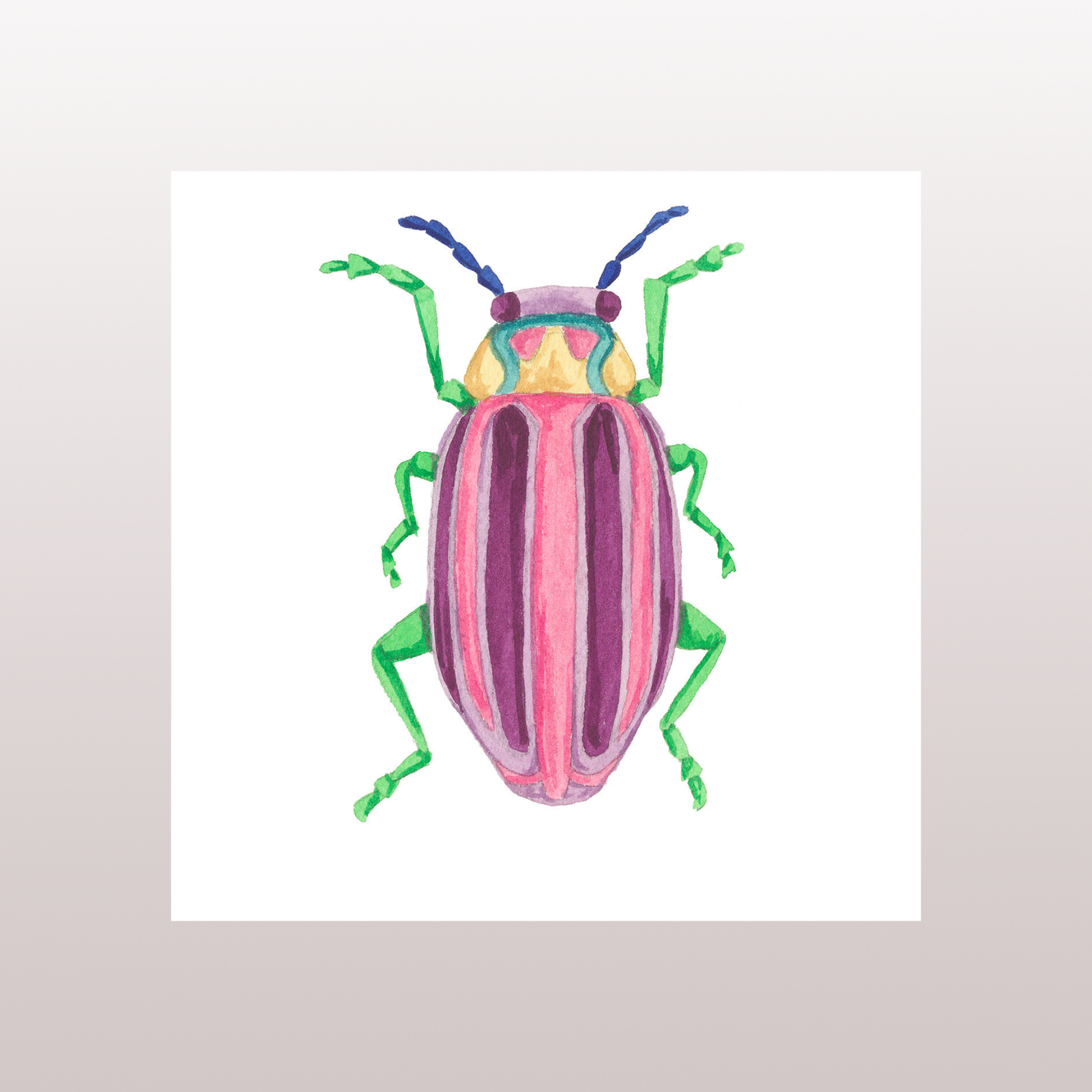 Beetle 10