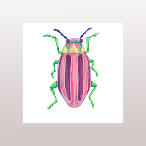 Beetle 10
