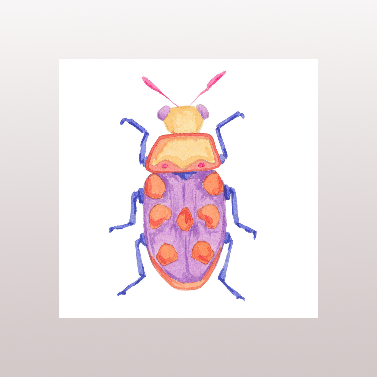 Beetle 4