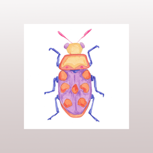 Beetle 4