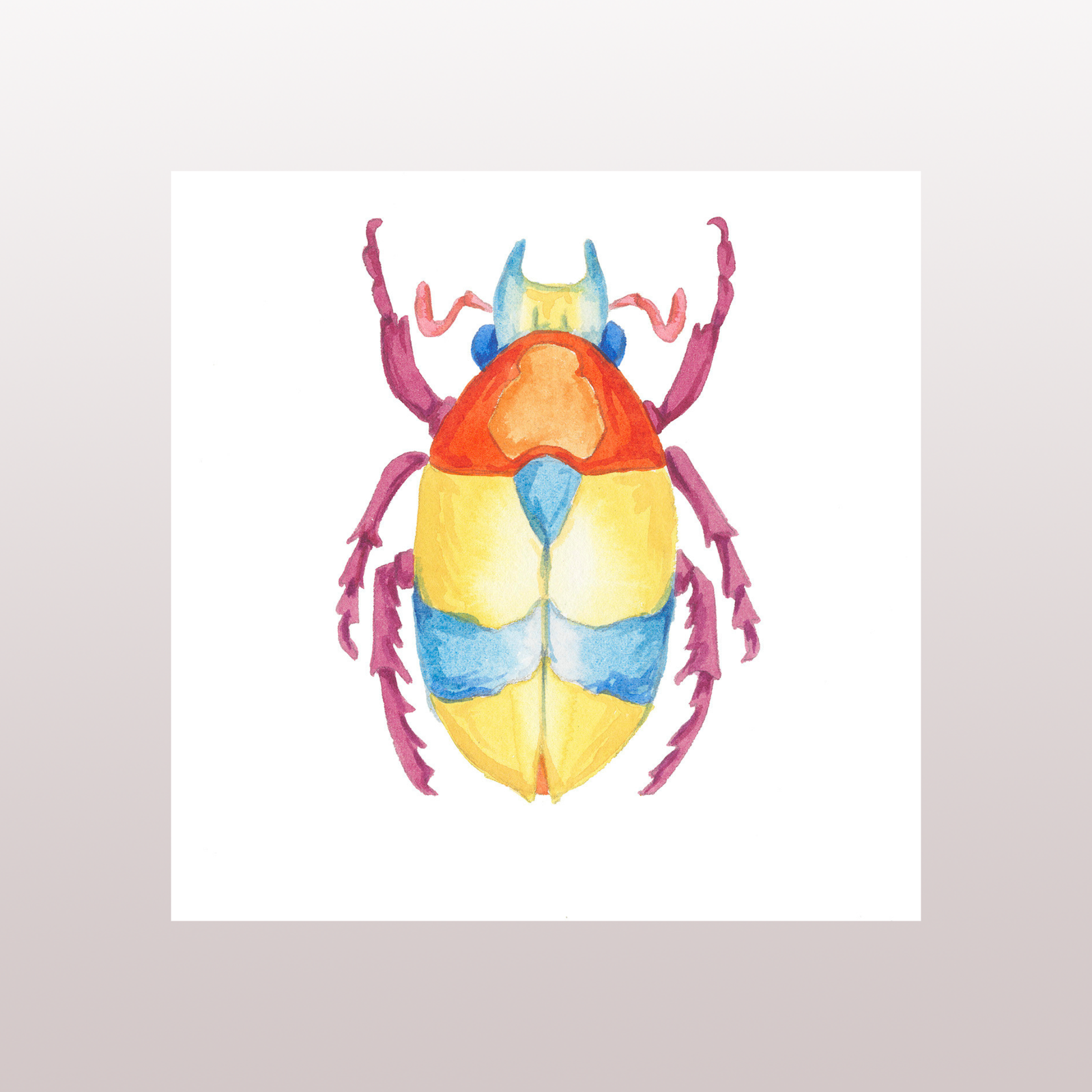 Beetle 6