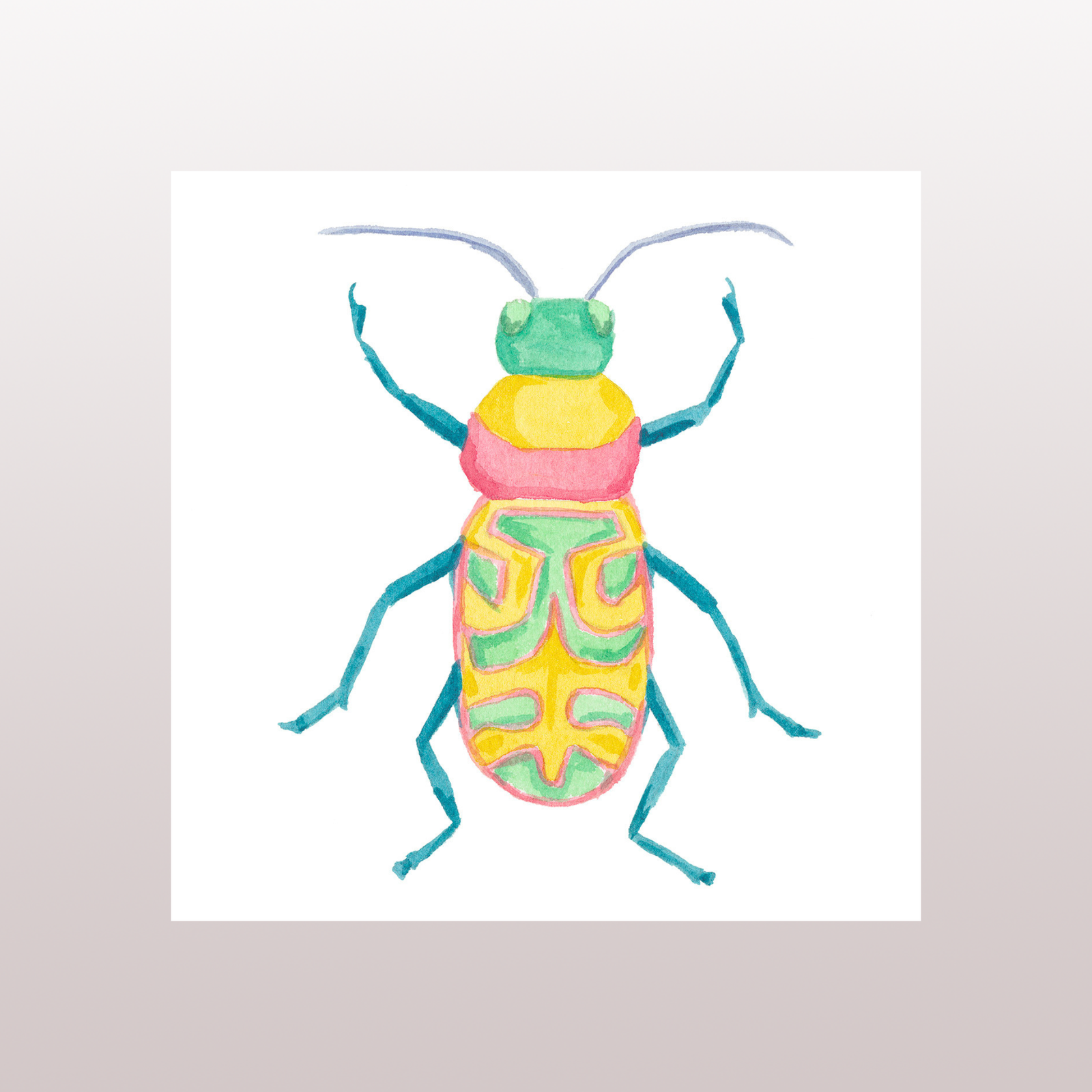 Beetle 5