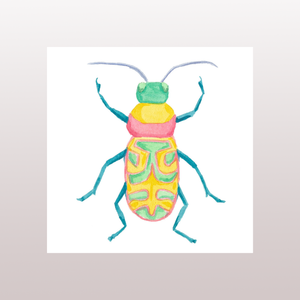 Beetle 5