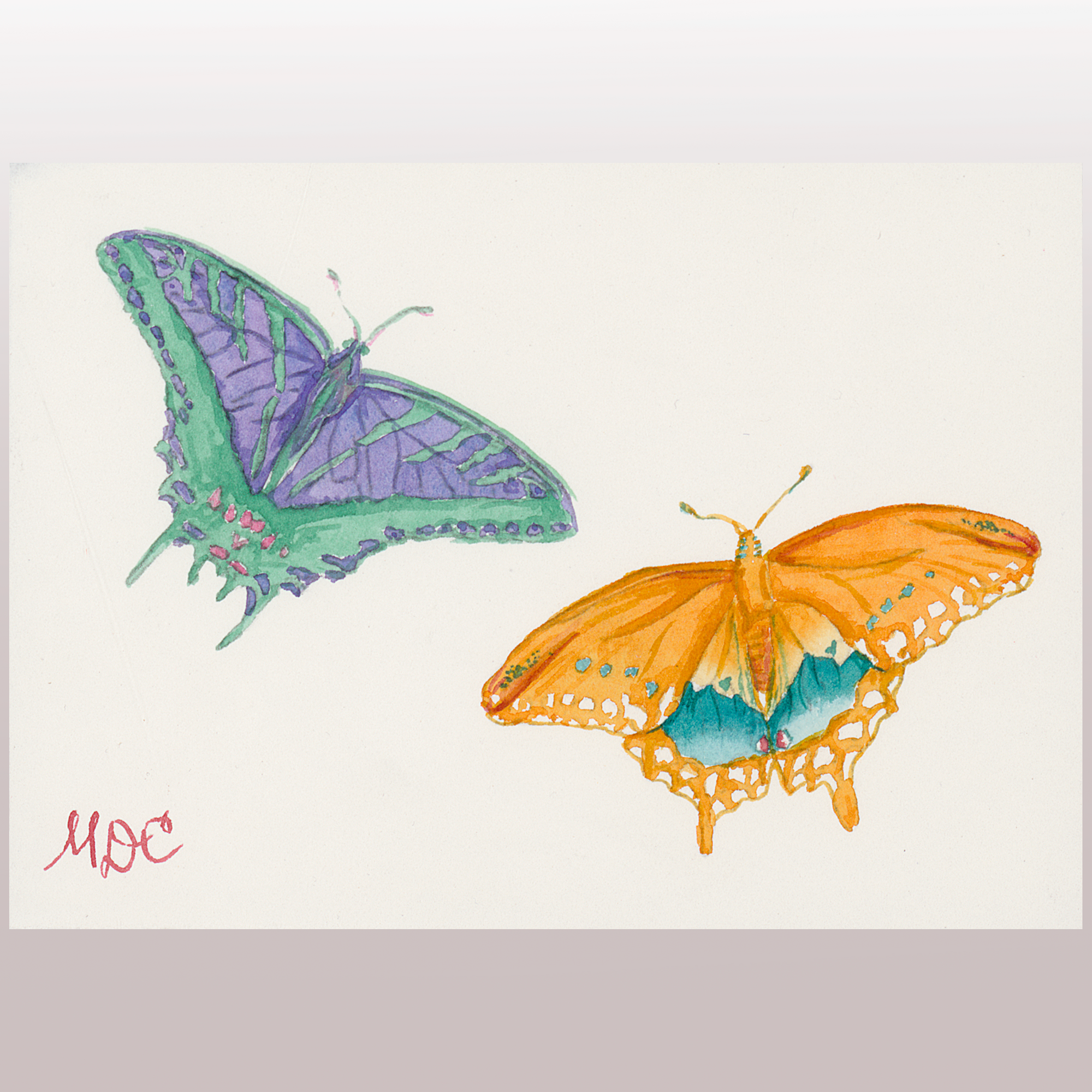 Butterflies #5