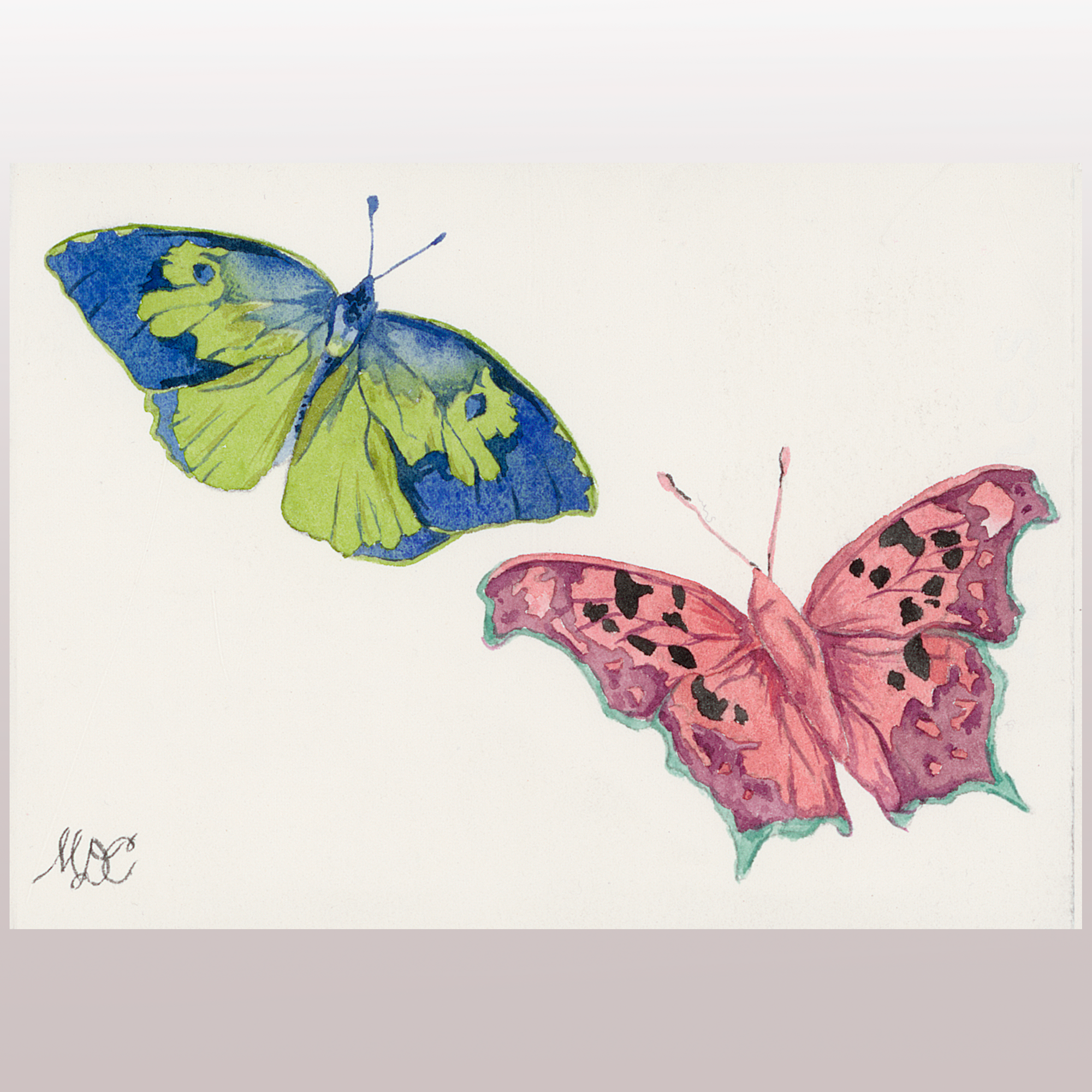 Butterflies #8