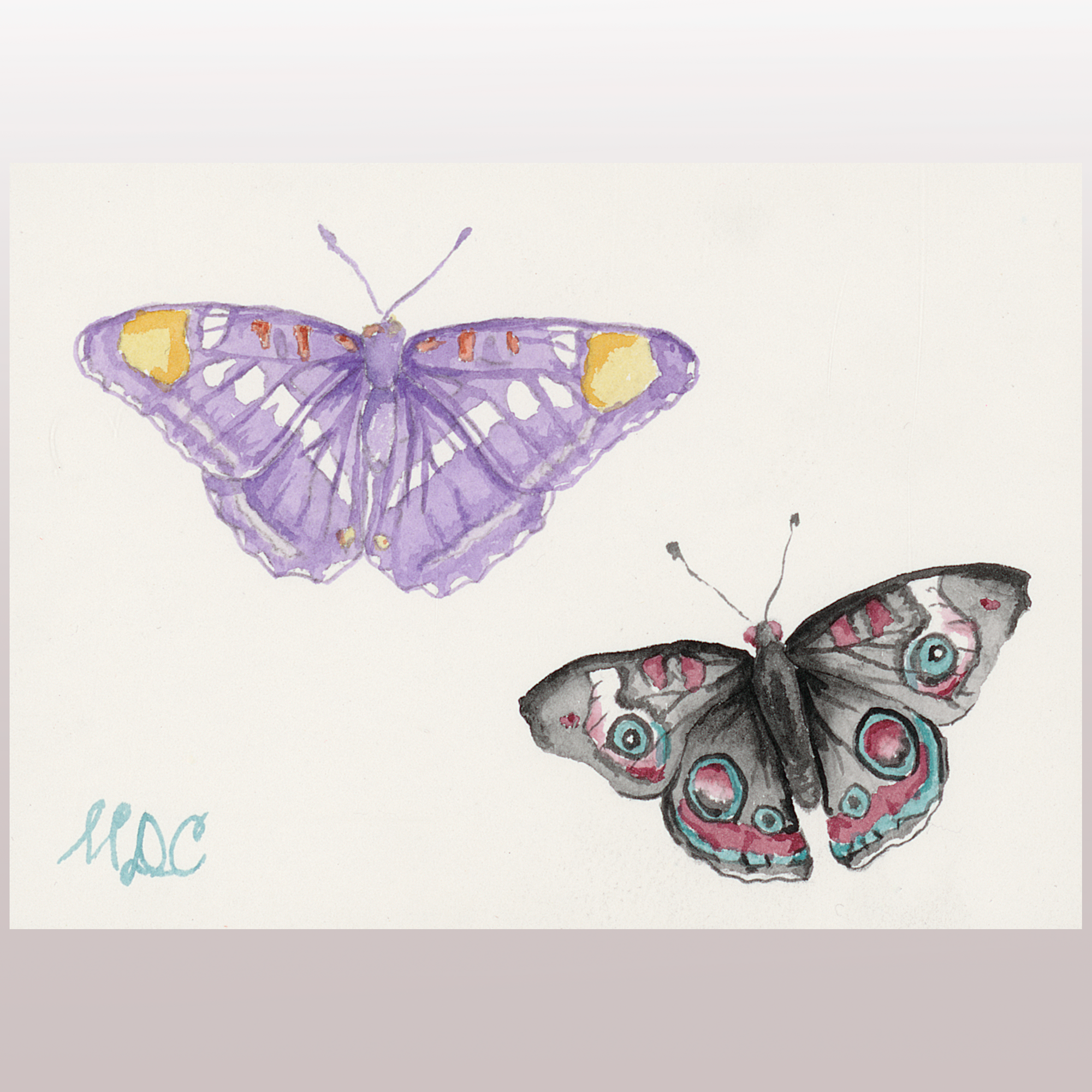 Butterflies #10