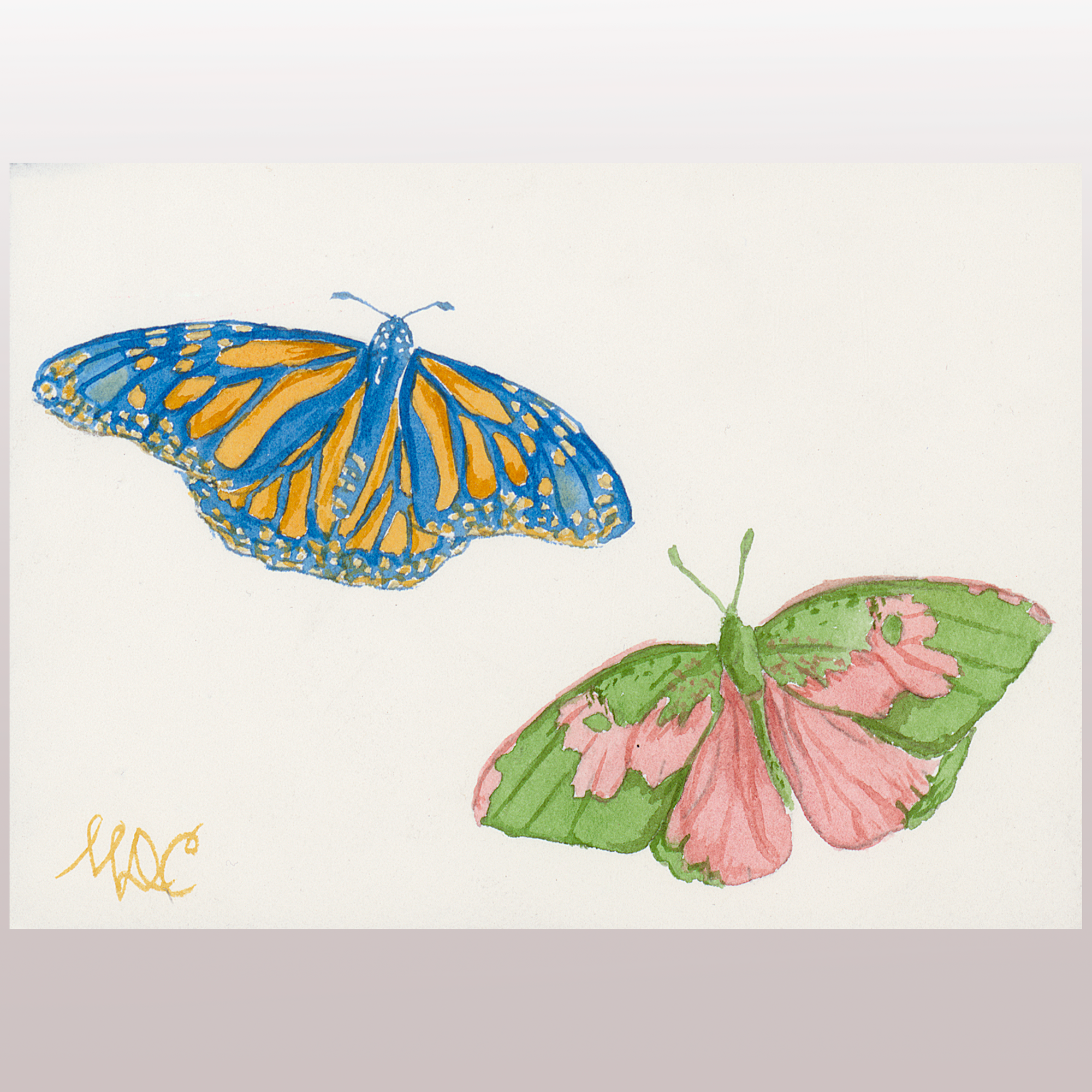 Butterflies #12