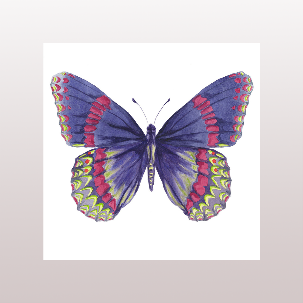 Flutter